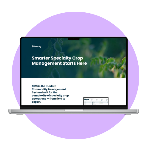 Website mockup