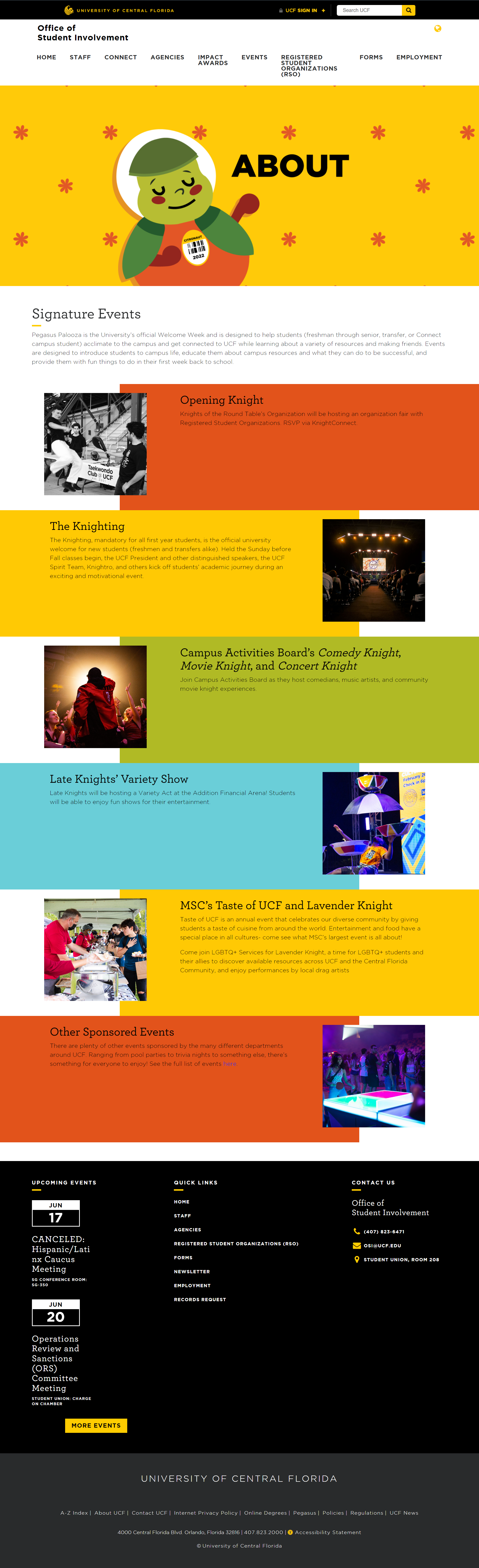Web Dev - Desktop View of About Page for Pegasus Palooza