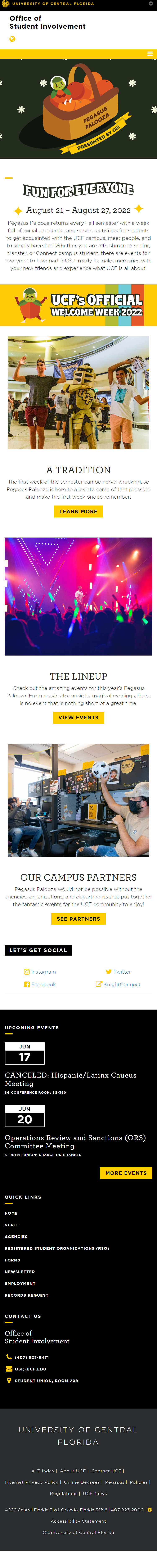 Web Dev - Mobile View of Home Page for Pegasus Palooza